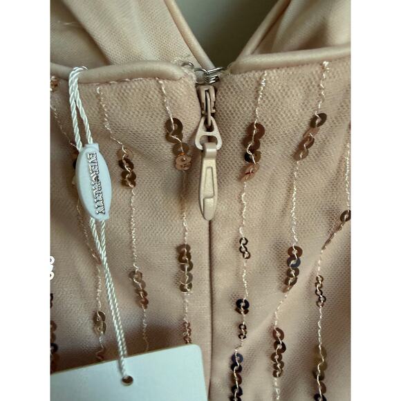 Ever-Pretty Blush Sequin Tulle Formal Dress | Size 16 | NWT Balletcore Coquette - Picture 4 of 10